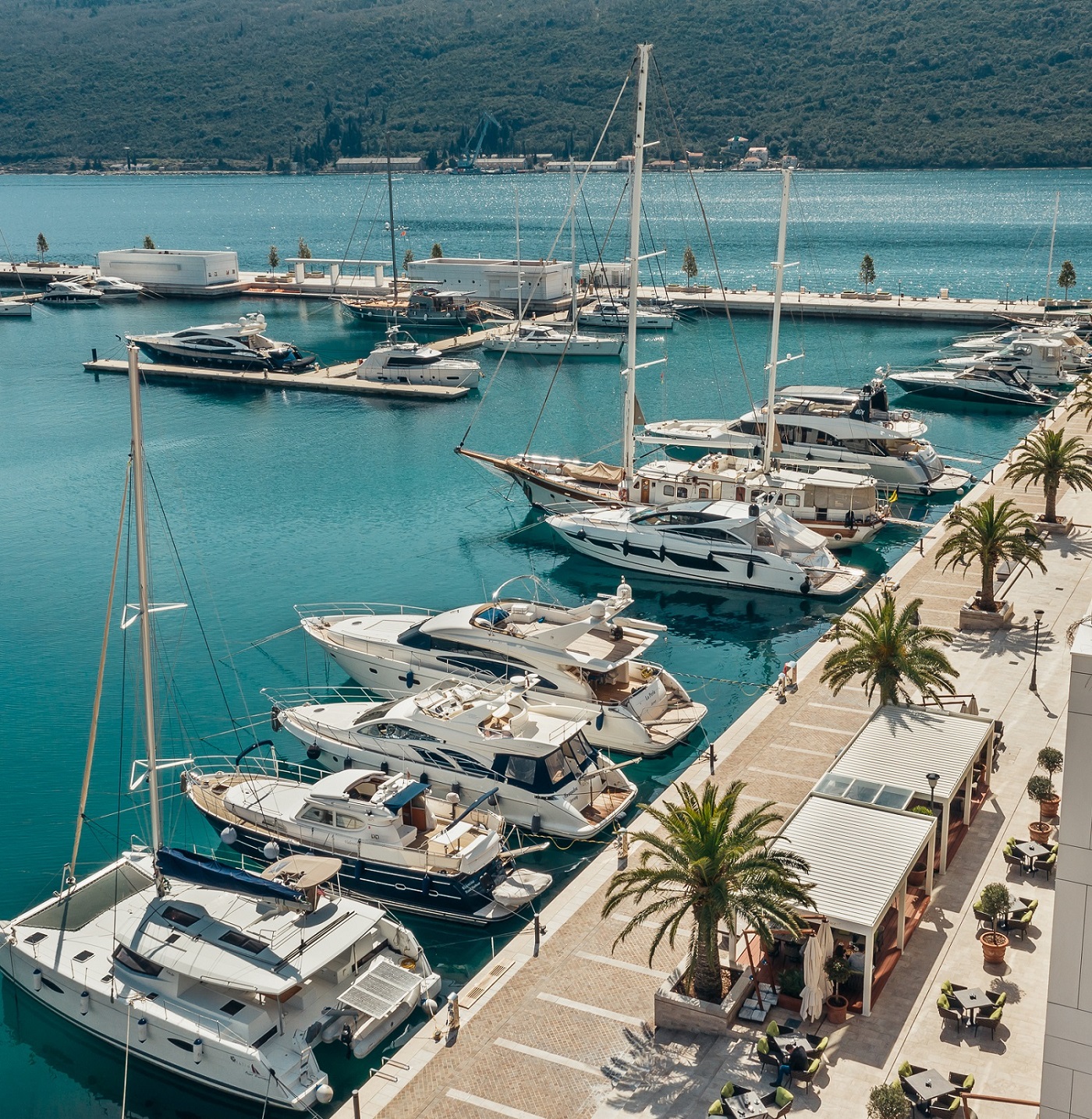 Marina Portonovi, koncerti