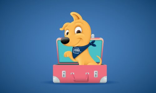 AMS osiguranje, putno zdravstveno osiguranje