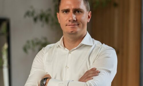 Mladen Jezdić, Ananas e-commerce