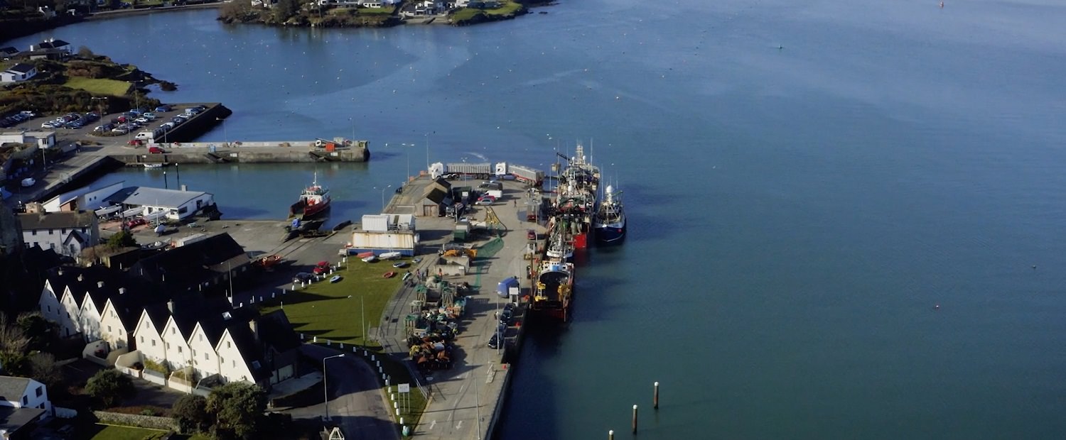 Huawei Smart Whales Sound 