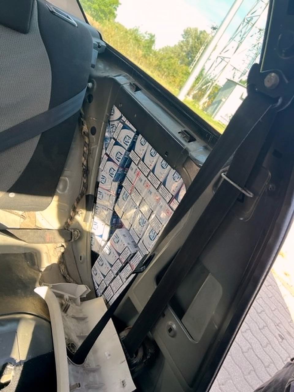 Mravlji šverc carina