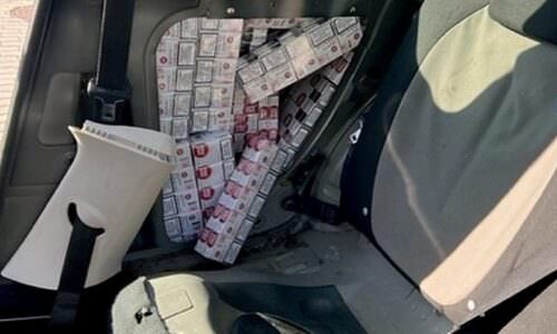 Mravlji šverc carina