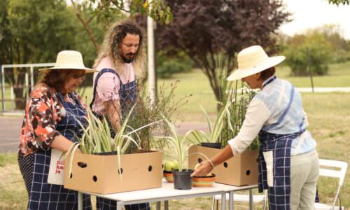 Kišna bašta Sombro, "Niklo kao ja" A1 Srbija FOTO: Danijel Rakić