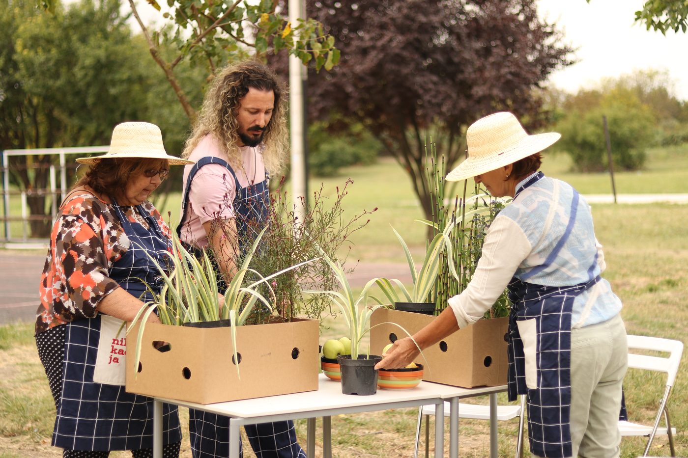 Kišna bašta Sombro, "Niklo kao ja" A1 Srbija FOTO: Danijel Rakić
