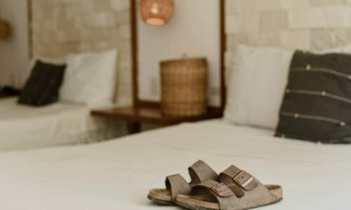 Birkenstok, Birkenstock