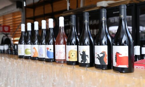 festival mladog vina vinarija tikveš