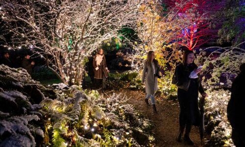 Festival svetla Sarajevo