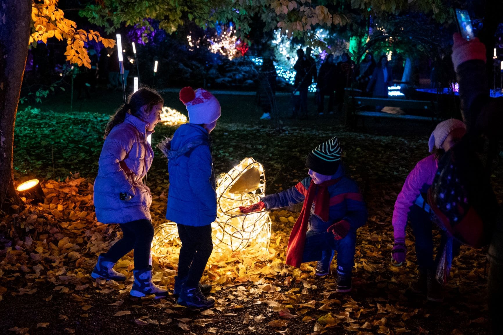 Festival svetla Sarajevo