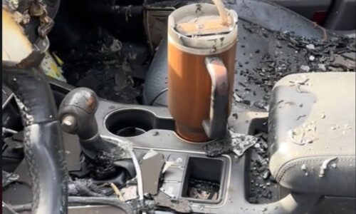 Stanley Stenli šolja