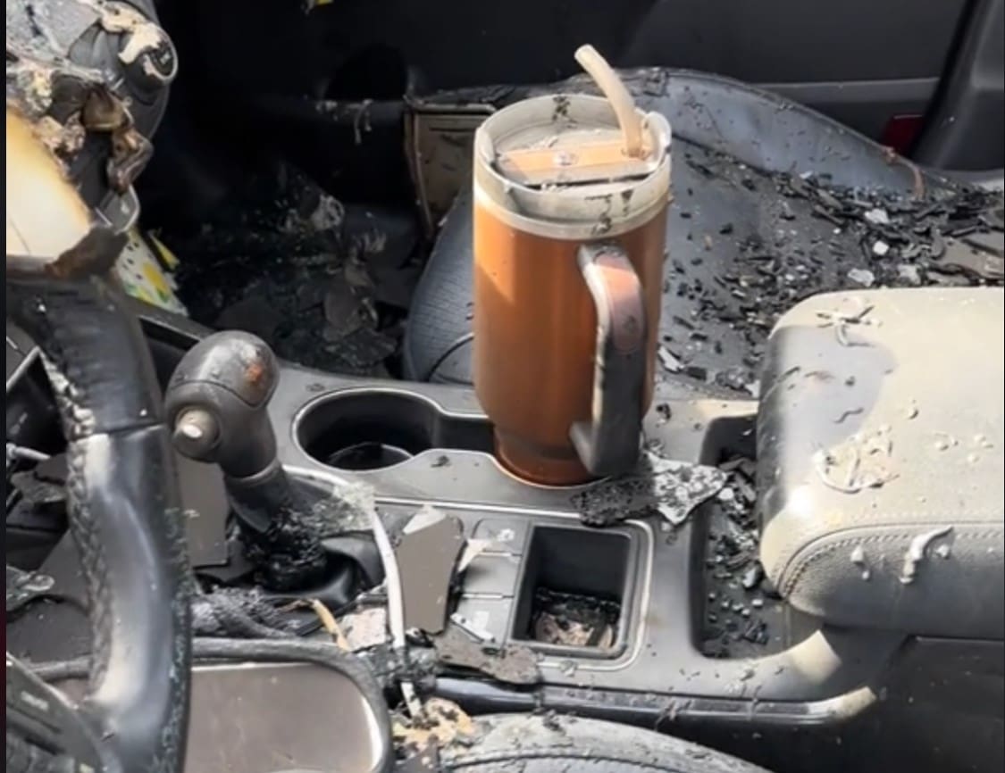 Stanley Stenli šolja