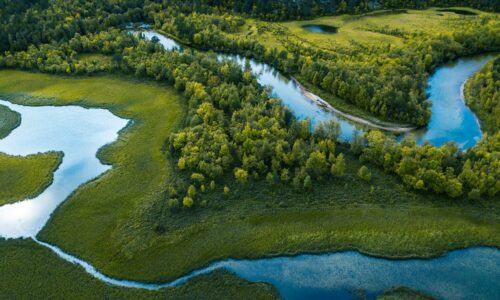 Air France KLM avio-grupa saf održivo avio-gorivo