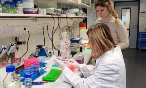 Članice projektnog tima SCREEN sa programa DIJASPORA 2020. Poseta partneru sa institucije CECAD Research Center at the University of Cologne u Nemačkoj