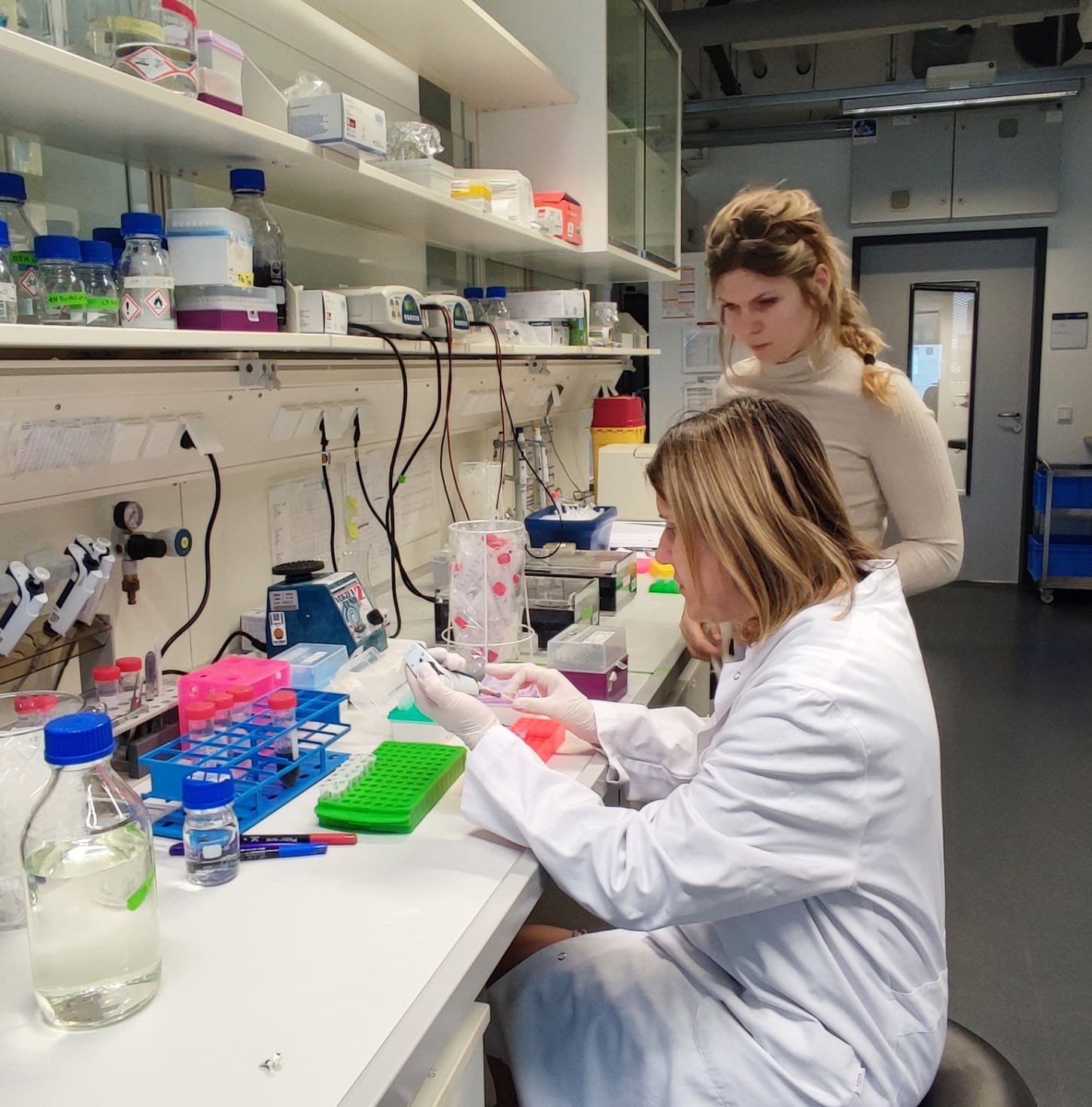 Članice projektnog tima SCREEN sa programa DIJASPORA 2020. Poseta partneru sa institucije CECAD Research Center at the University of Cologne u Nemačkoj