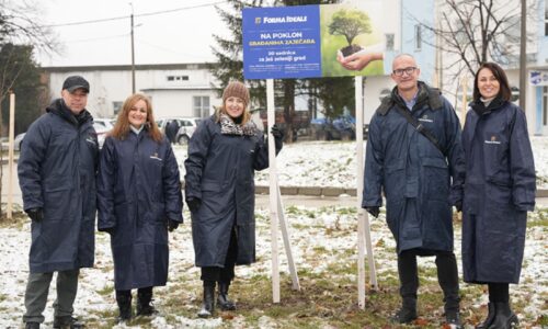 Forma Ideale, sadnja u Zaječaru, sadnica