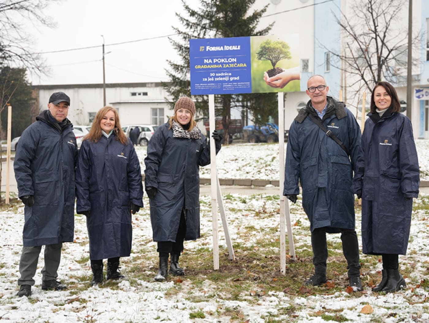 Forma Ideale, sadnja u Zaječaru, sadnica