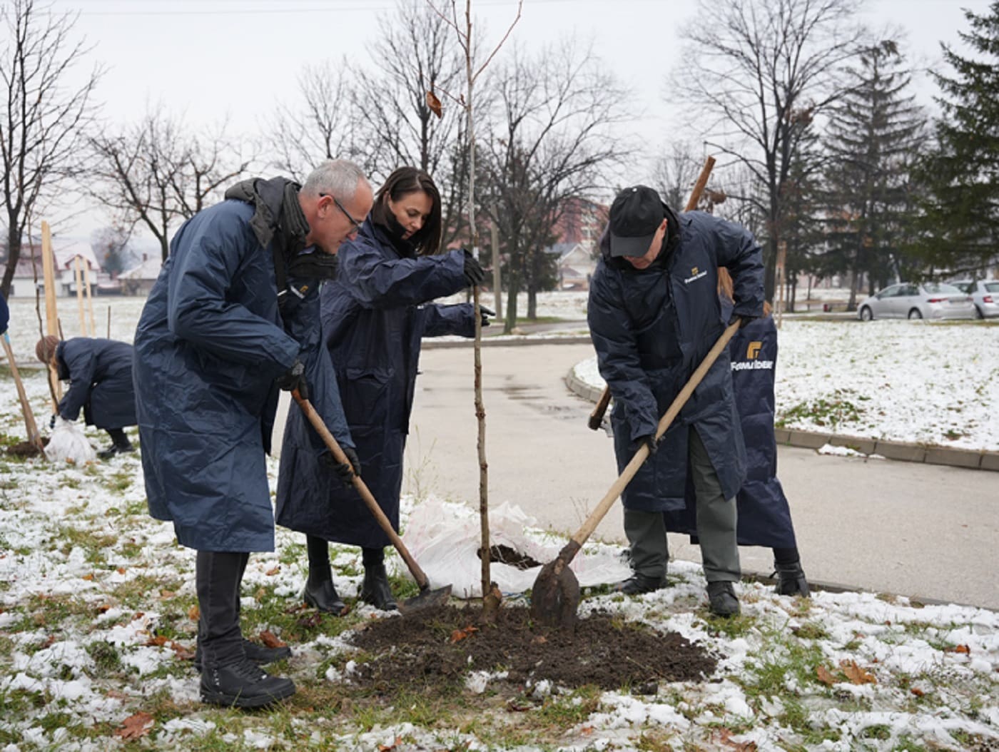 Forma Ideale, sadnja u Zaječaru