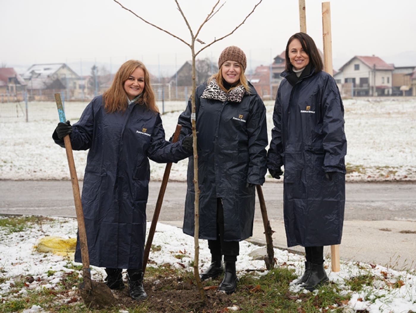 Forma Ideale, sadnja u Zaječaru