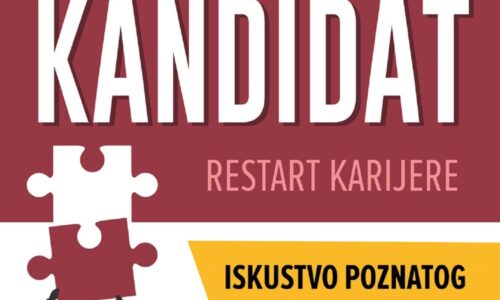 Idealni kandidat, knjiga