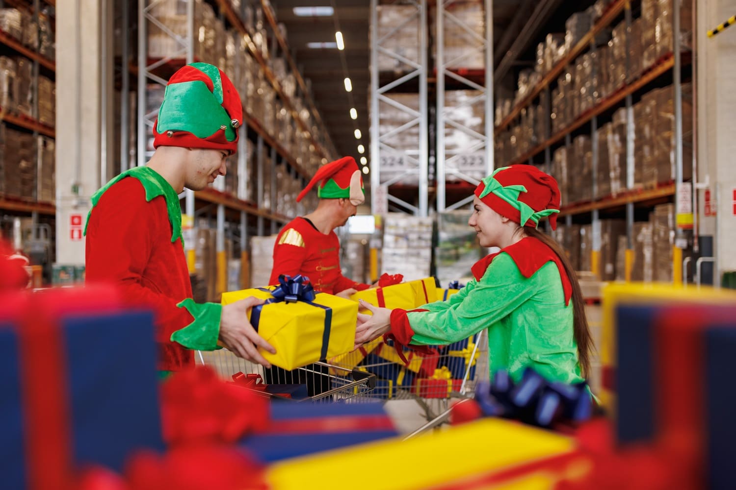 lidl vilenjaci paketići