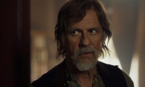 Film Žarka Lauševića