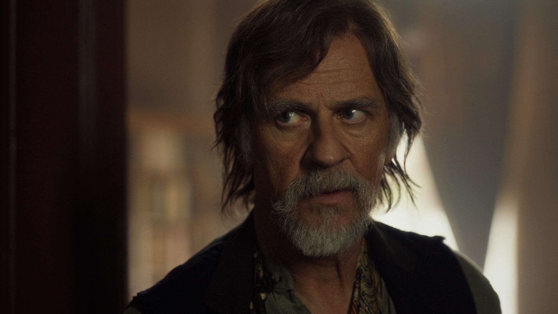 Film Žarka Lauševića