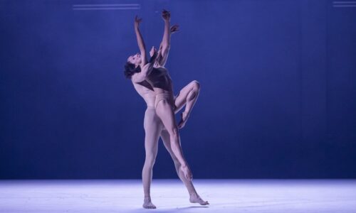 Savršene različitosti, festival