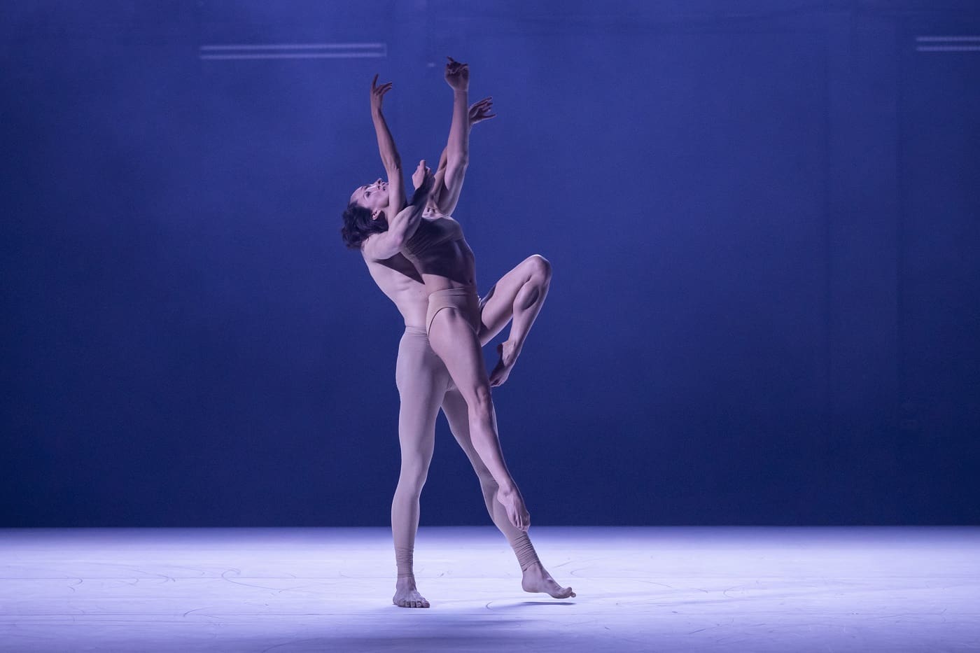 Savršene različitosti, festival