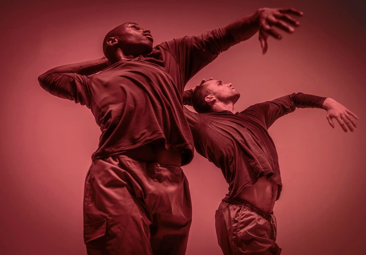 Savršene različitosti, festival