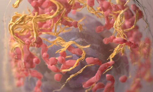 rak grlića materice