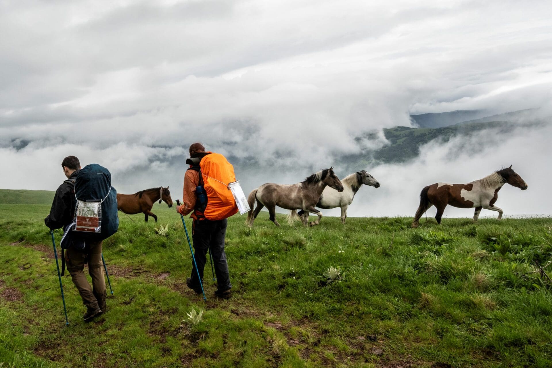 Highlander, Stara Planina