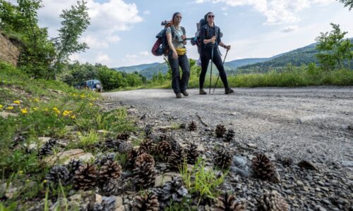 Highlander, Stara Planina