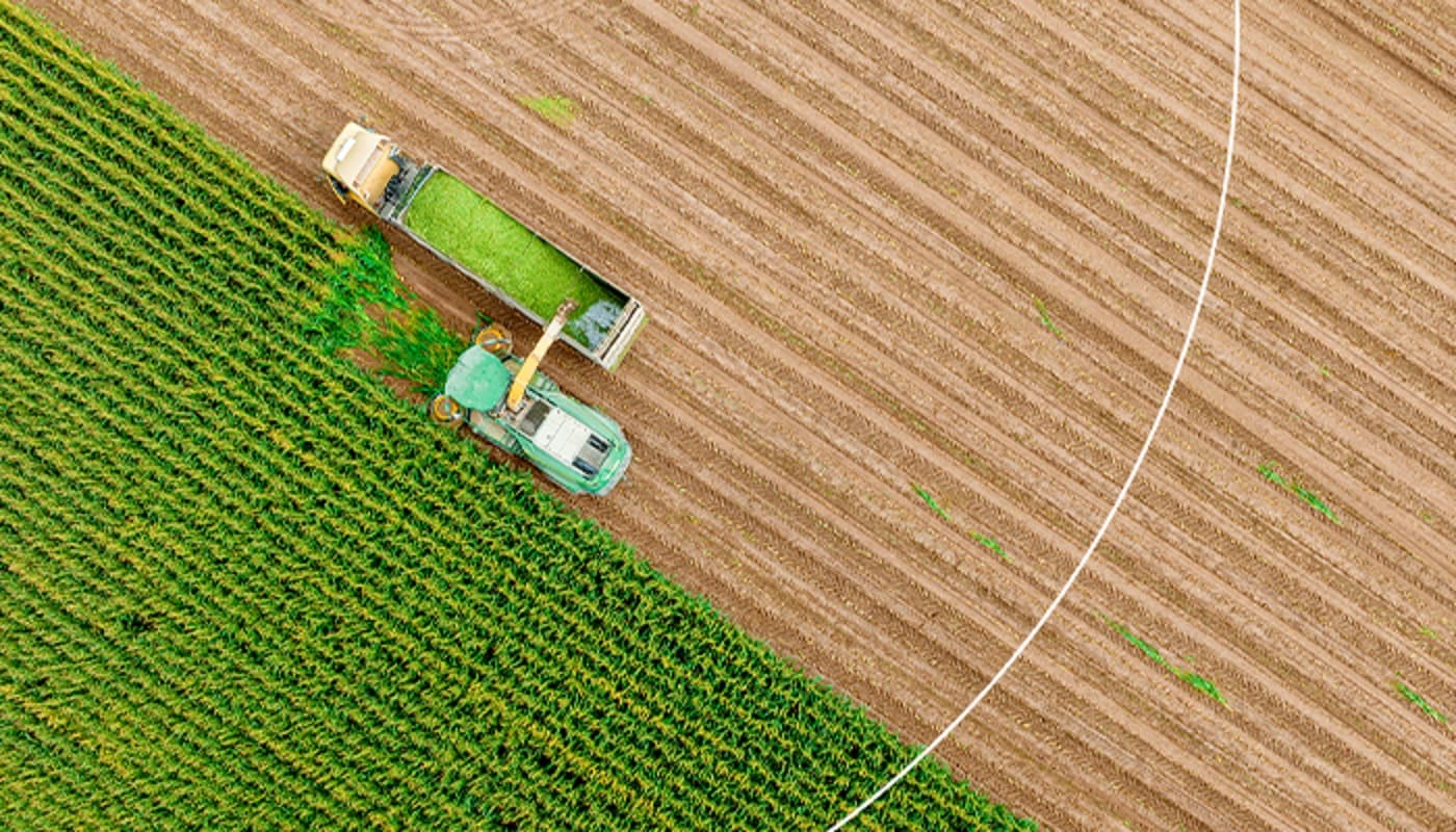 NLB Komercijalna banka, kredit