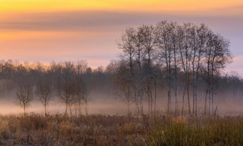 Viskonsin, temperatura pala za 30 stepeni