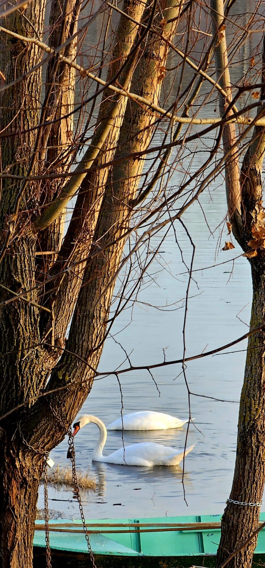 Panonska Atlantida, Begeč 