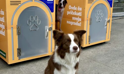 kućice za pse Smartsy