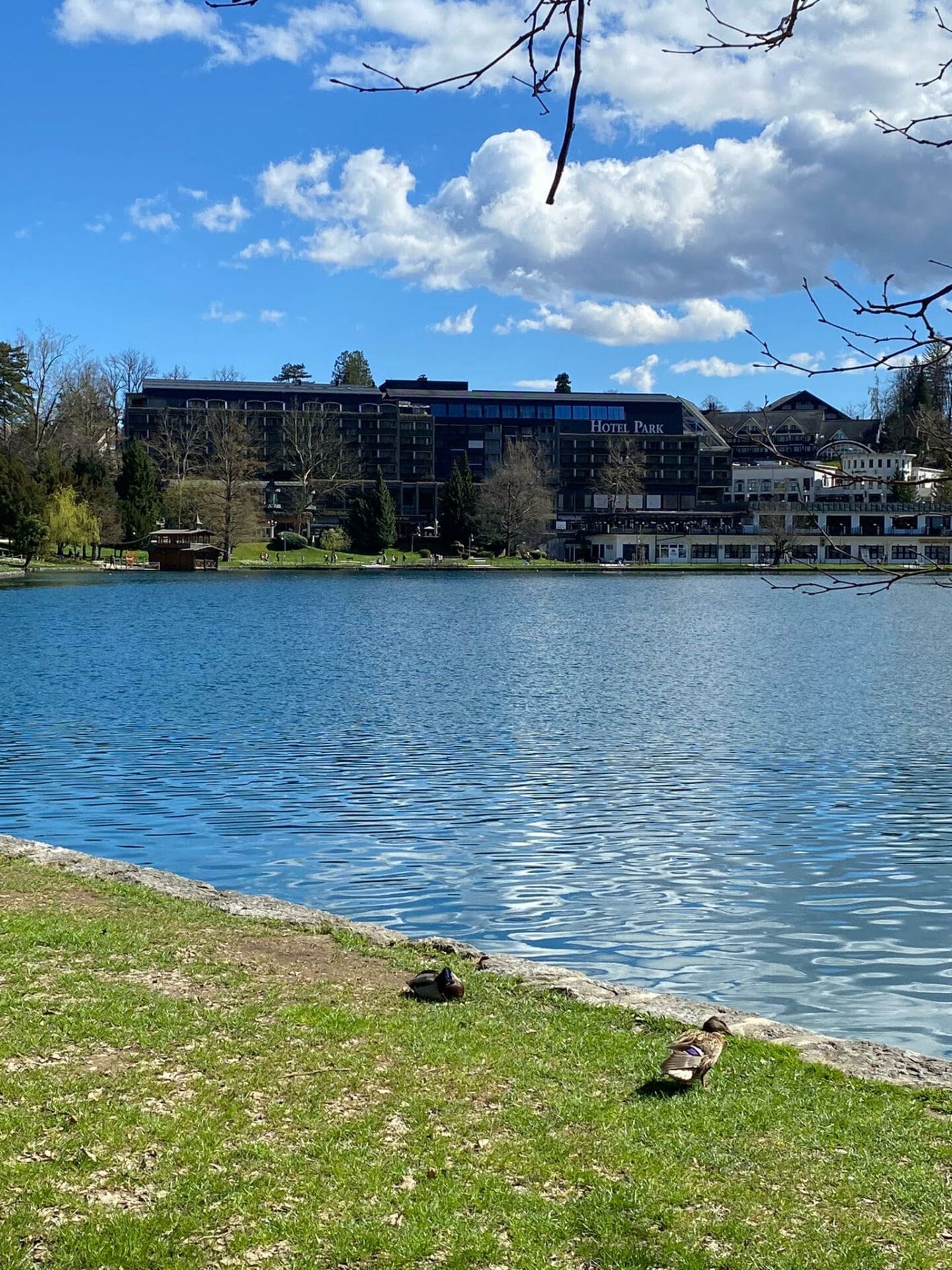 Krempita, Bled, hotel Park