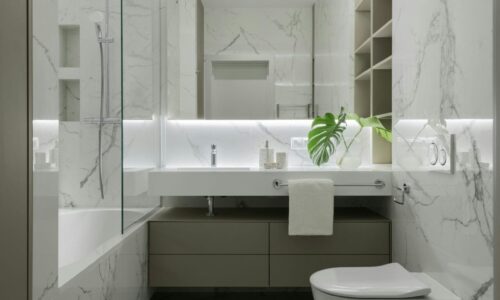 bide, nestašica toalet papira