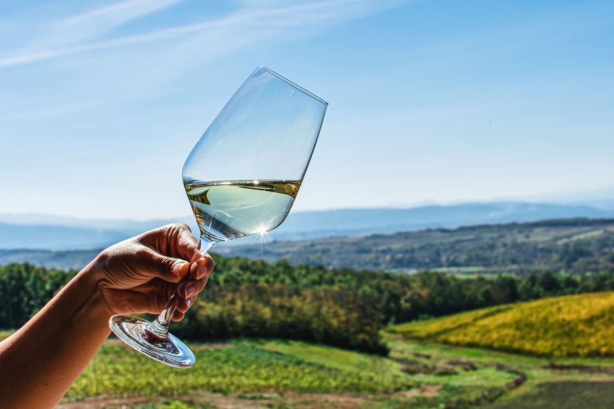 In vino Pantheon, Vinarija DOJA