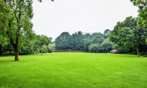 Nacionalni parkovi, park