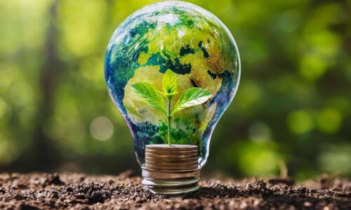 Zeleni lanac Mercator-S