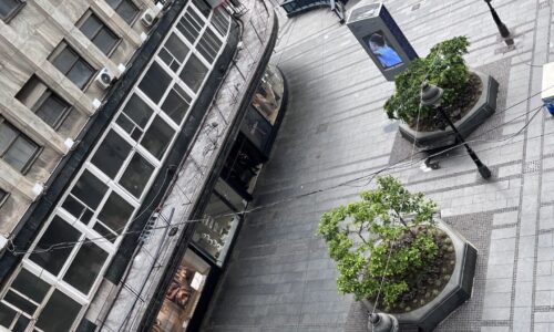 Knez Mihailova, policija