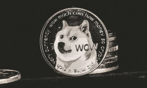 Dogcoin, pas
