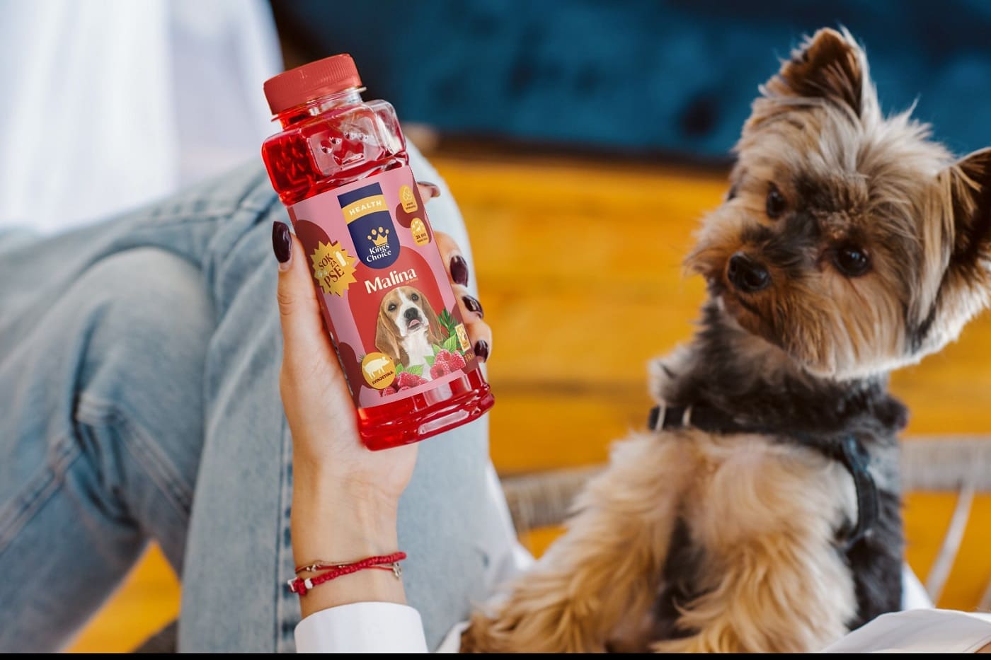 Sok za pse King's Choice