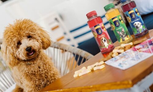 Sok za pse King's Choice