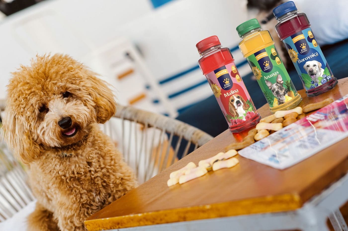 Sok za pse King's Choice