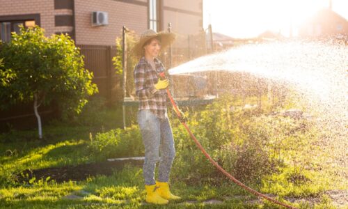 Nemački grad, voda zalivanje