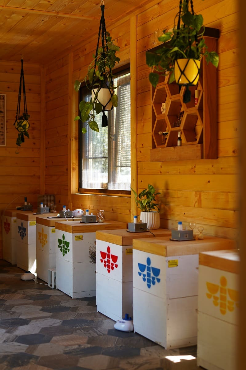 Apiterapija, SIlosi, Bee Center