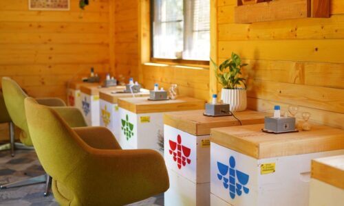 Apiterapija, SIlosi, Bee Center