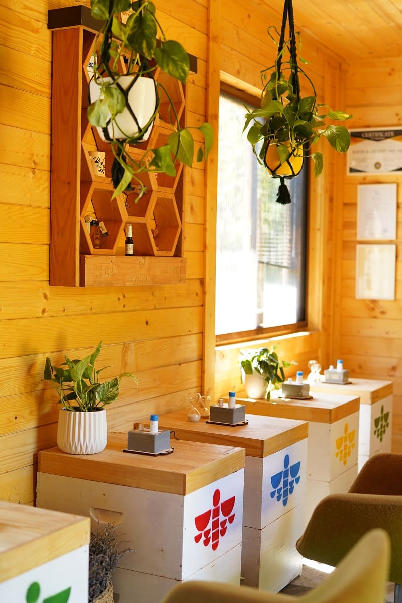 Apiterapija, SIlosi, Bee Center