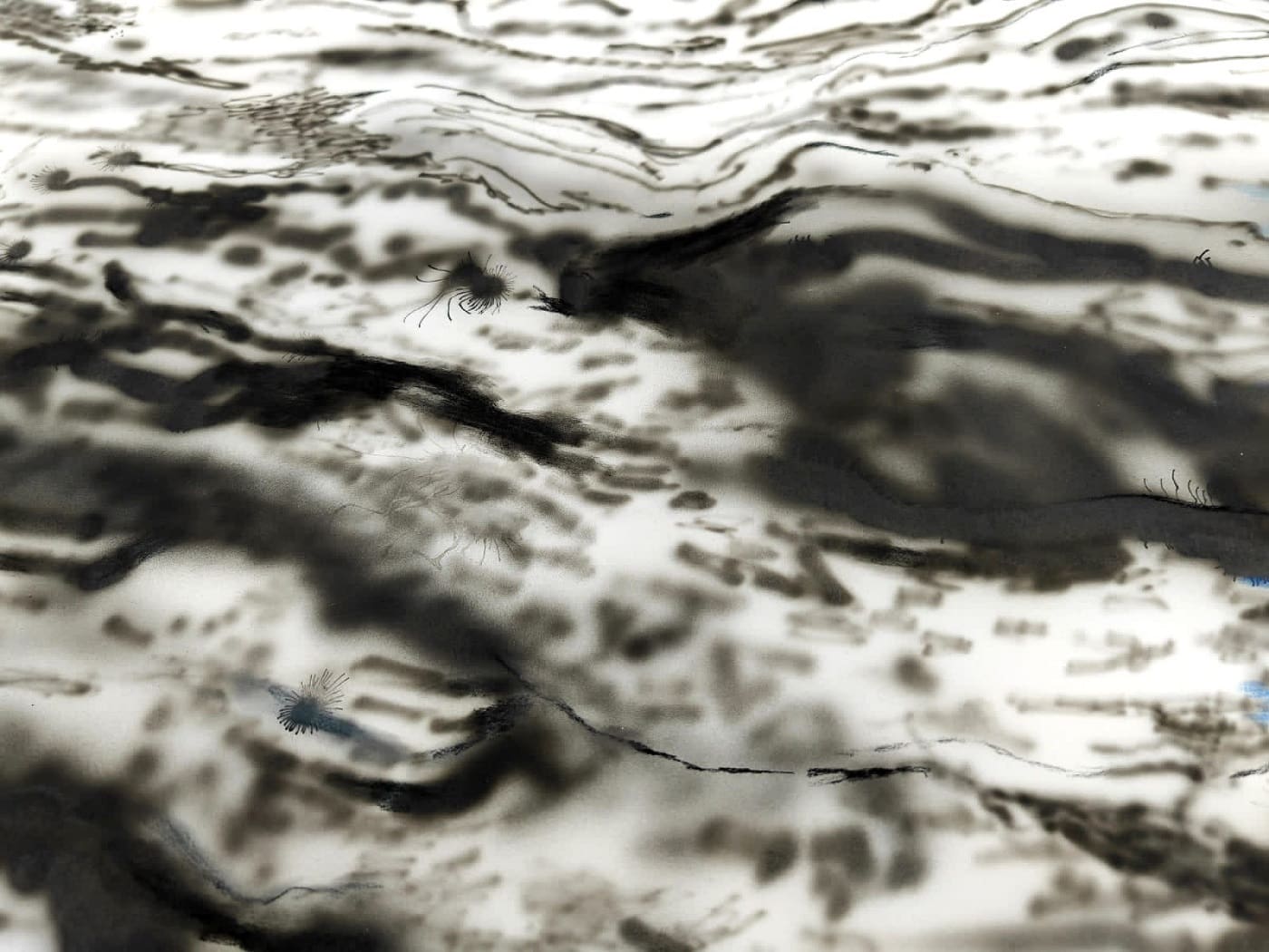 Izložba Nataše Kokić 